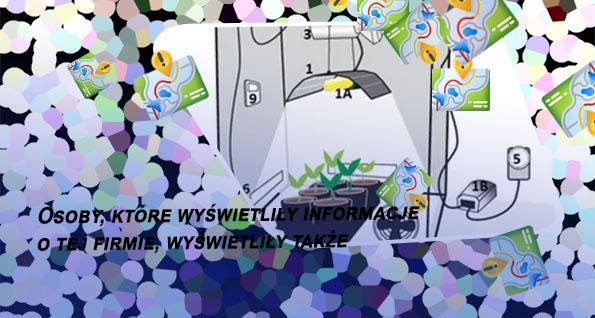 Gra w kasyno dla firm